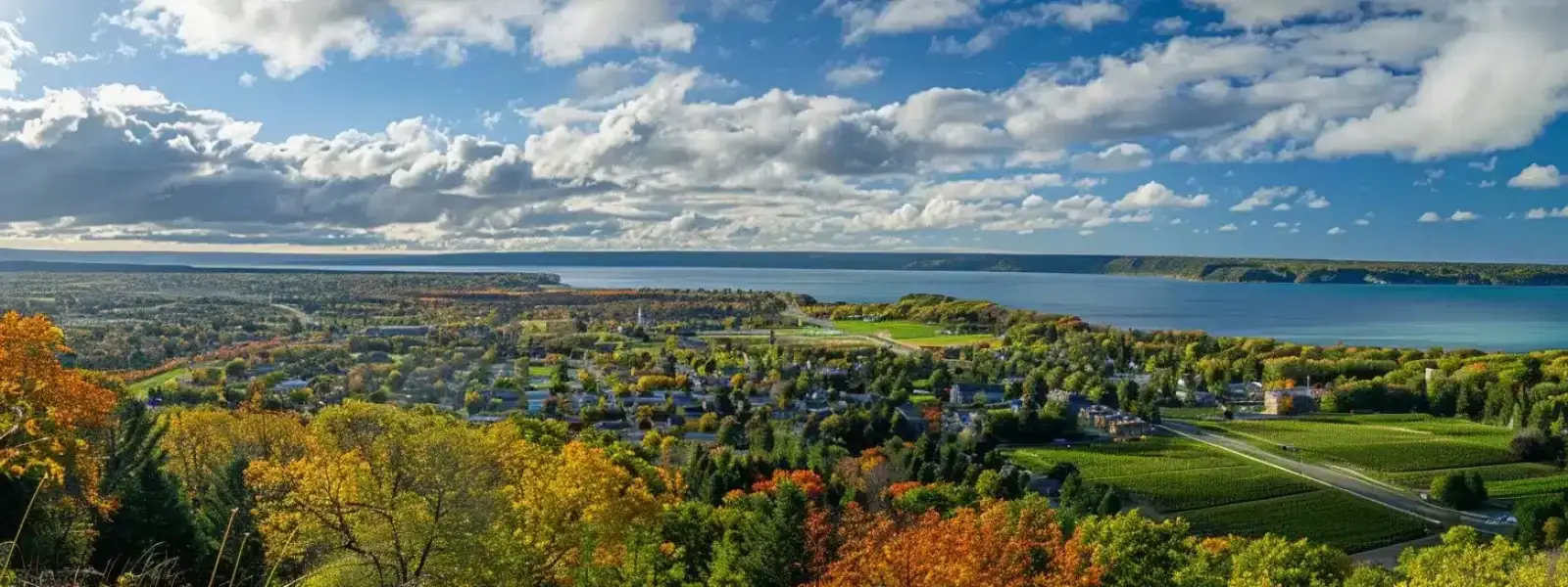 Effective SEO Strategies for Success in Traverse City