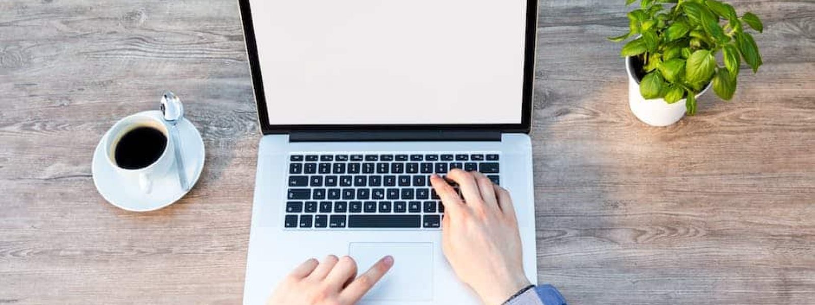 A person using a laptop on a wooden table with a cup of coffee and a small potted plant.